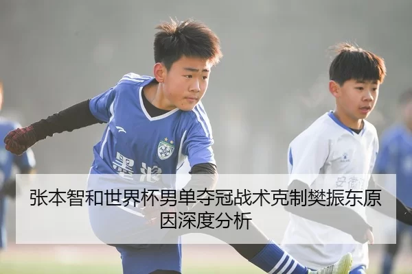 张本智和世界杯男单夺冠战术克制樊振东原因深度分析