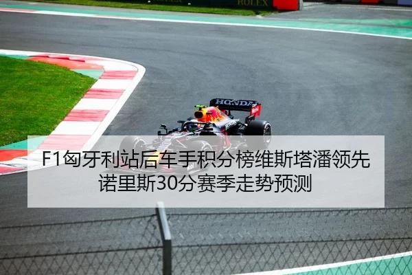 F1匈牙利站后车手积分榜维斯塔潘领先诺里斯30分赛季走势预测